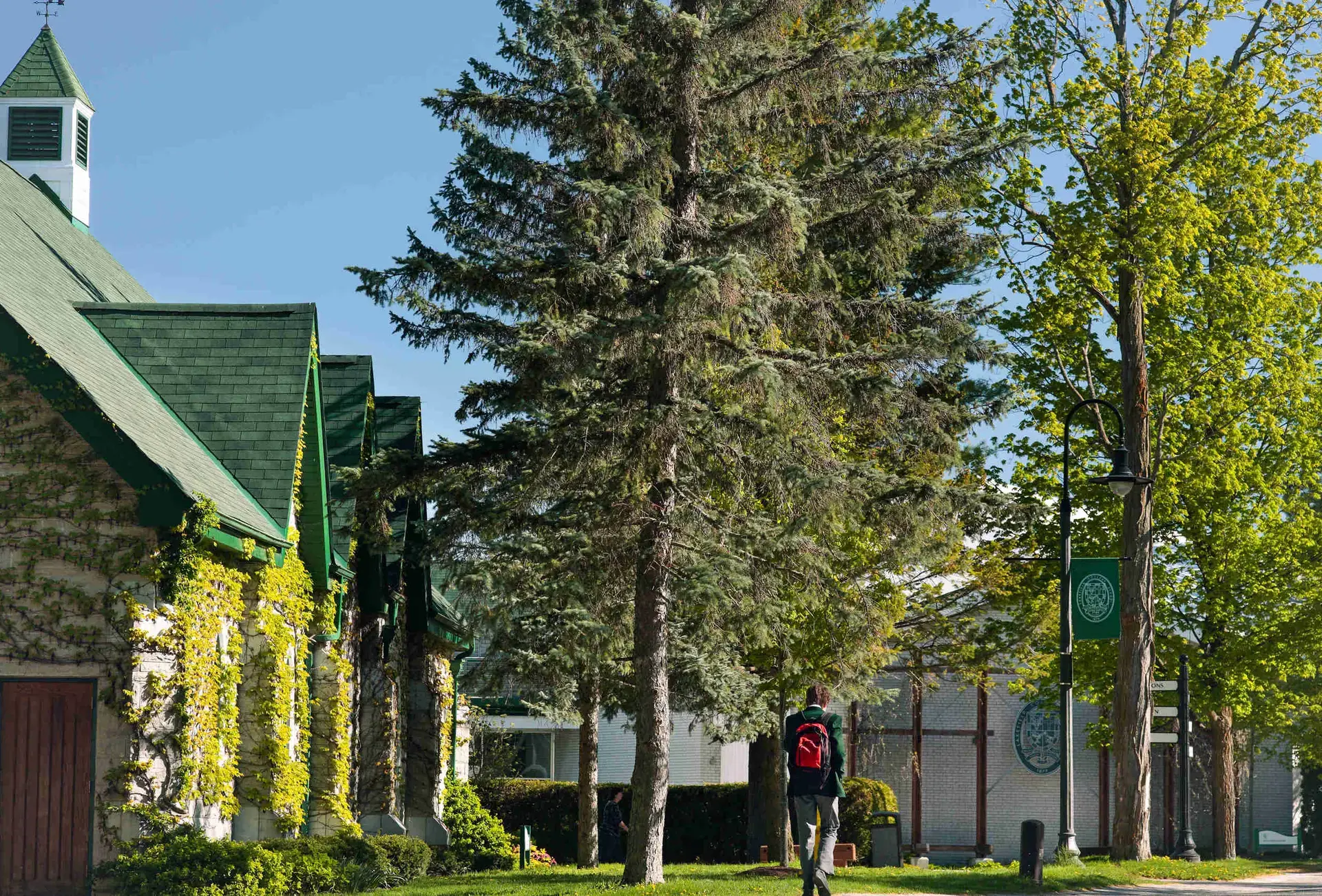 Student walking along tree-lined path
