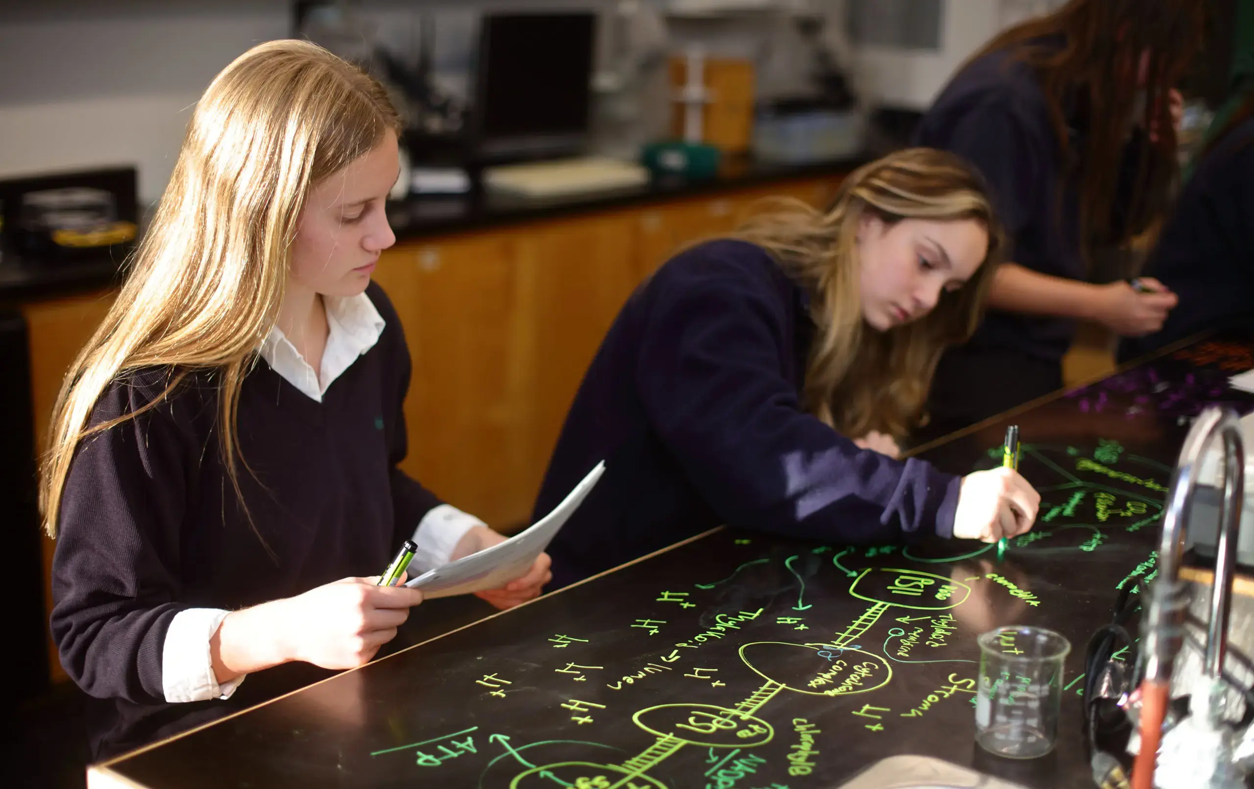 Students working collaboratively in classroom