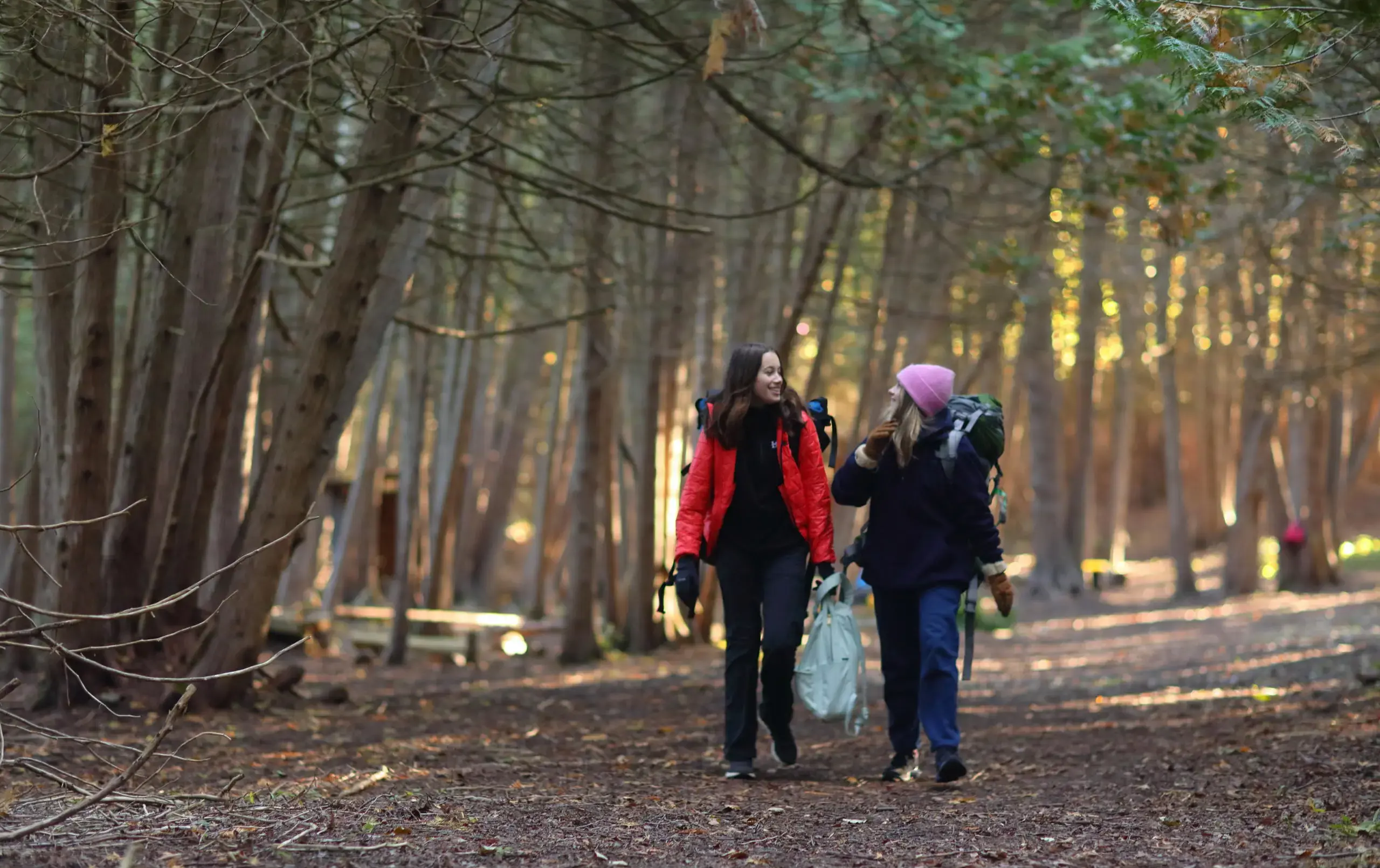Students hiking through woodland