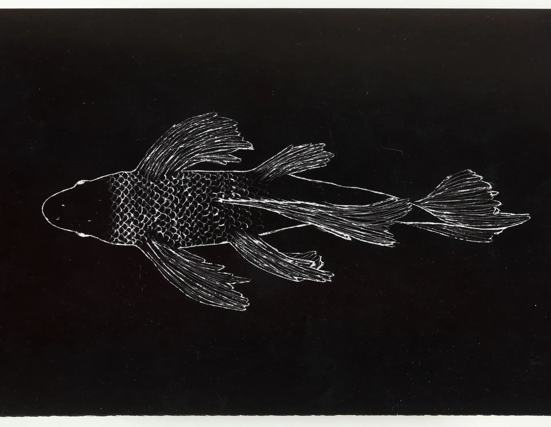 Etching of fish
