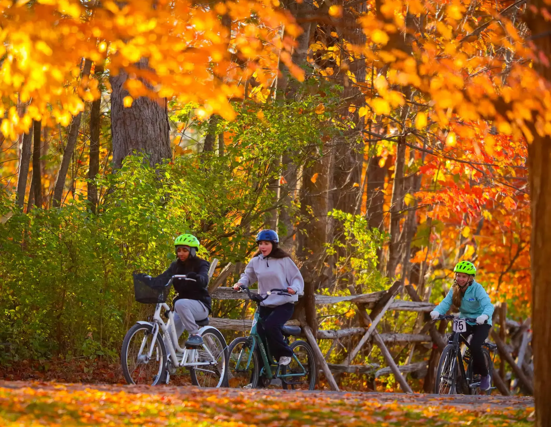 Students biking through trees
