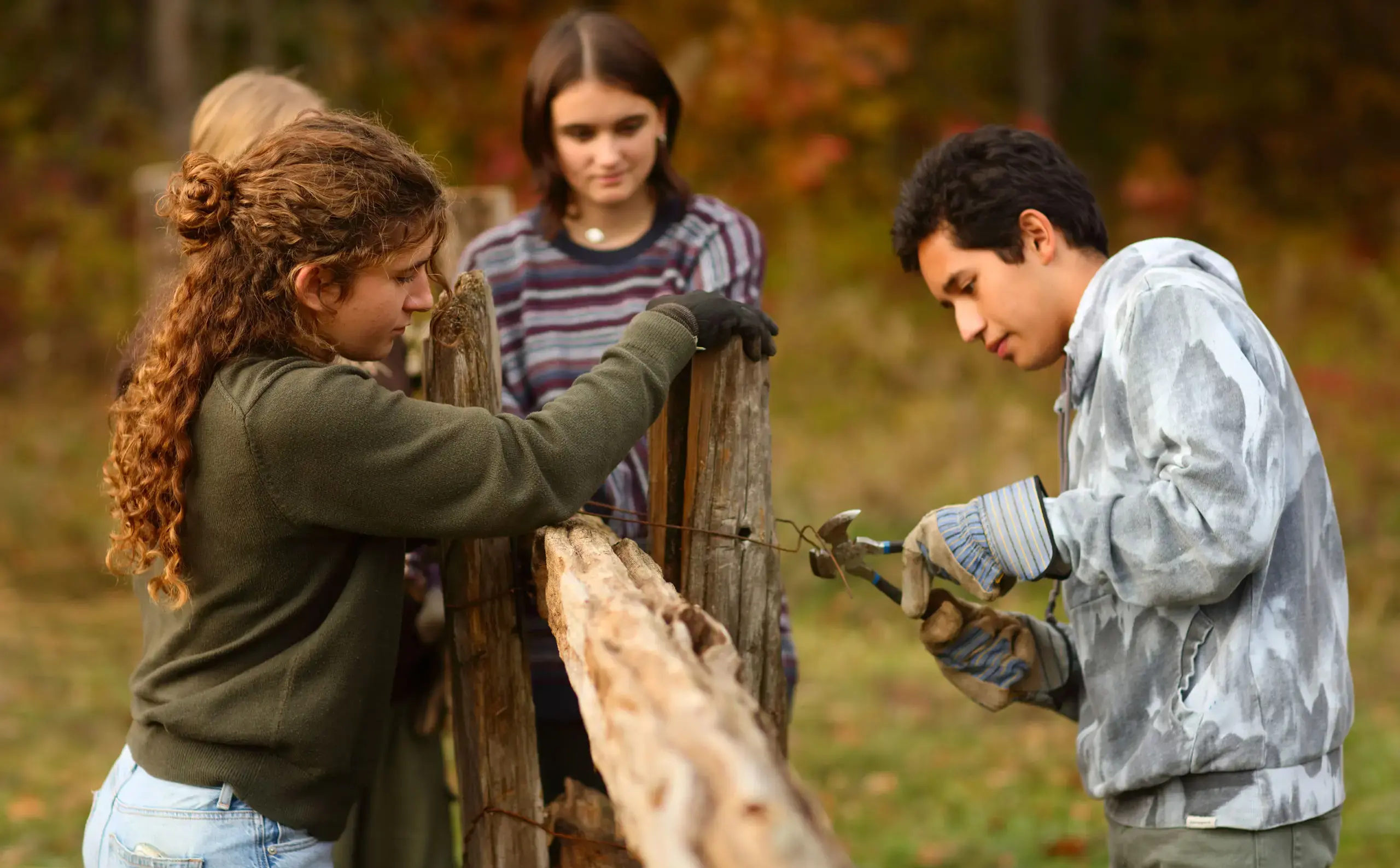 Students carefully cutting wire wrapped around tree