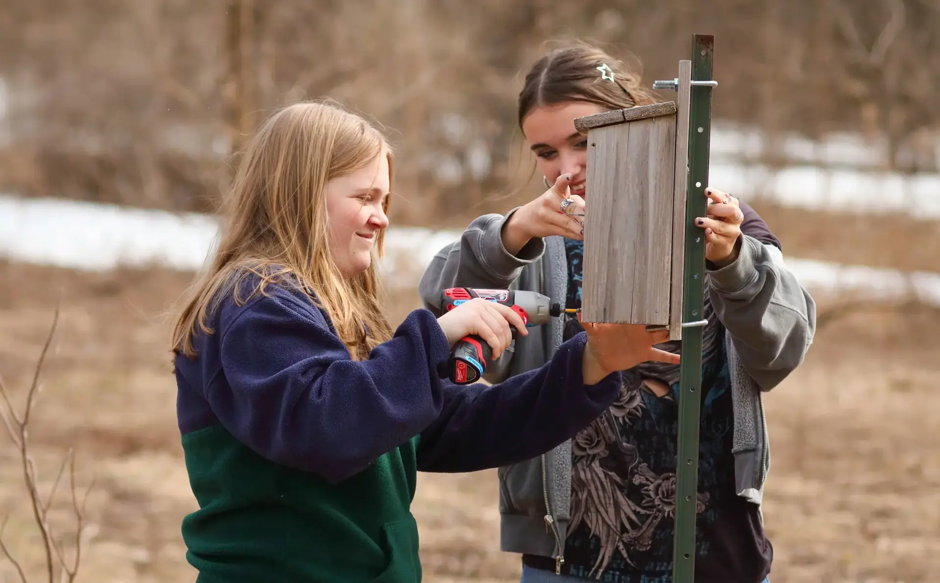 Students building birdhouse