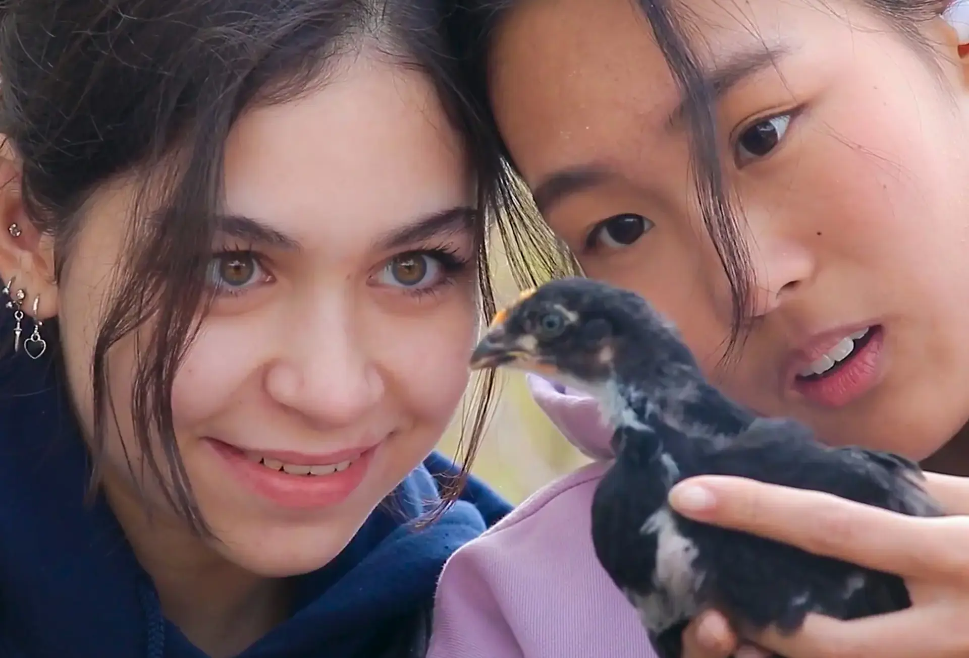 Close-up of two students holding a baby bird
