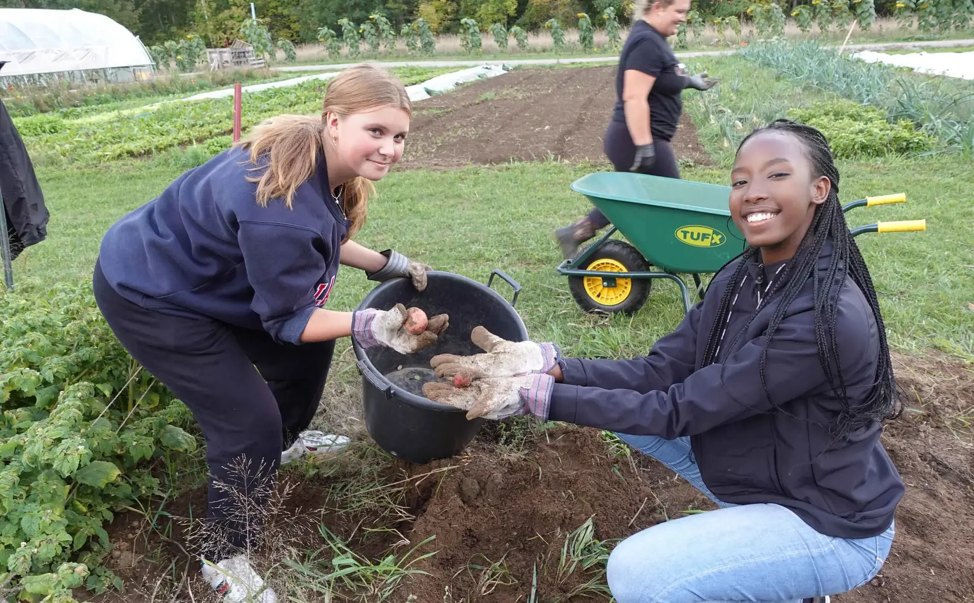 Students harvesting produce on trip to Ondaatje