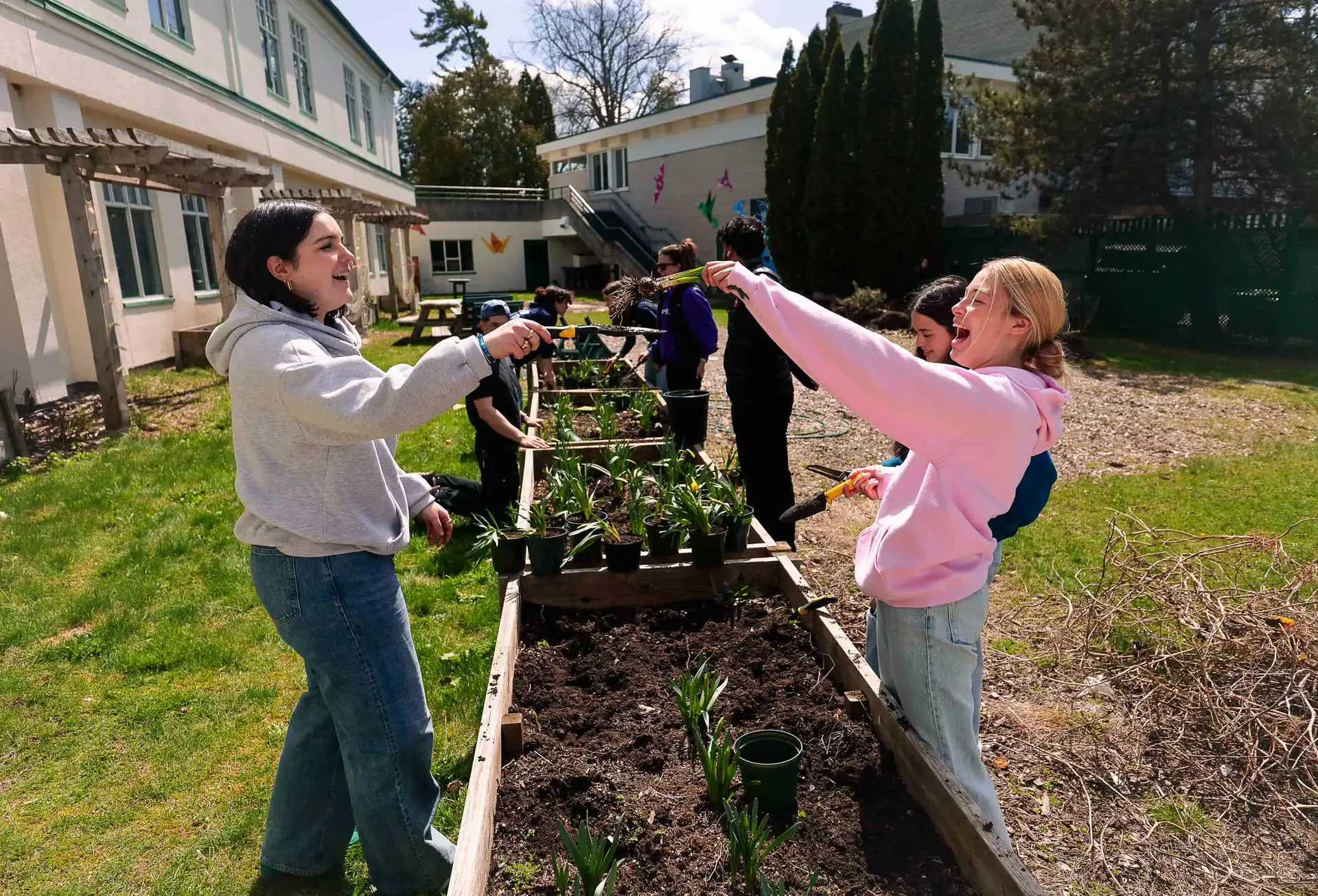 Students planting shrubs together