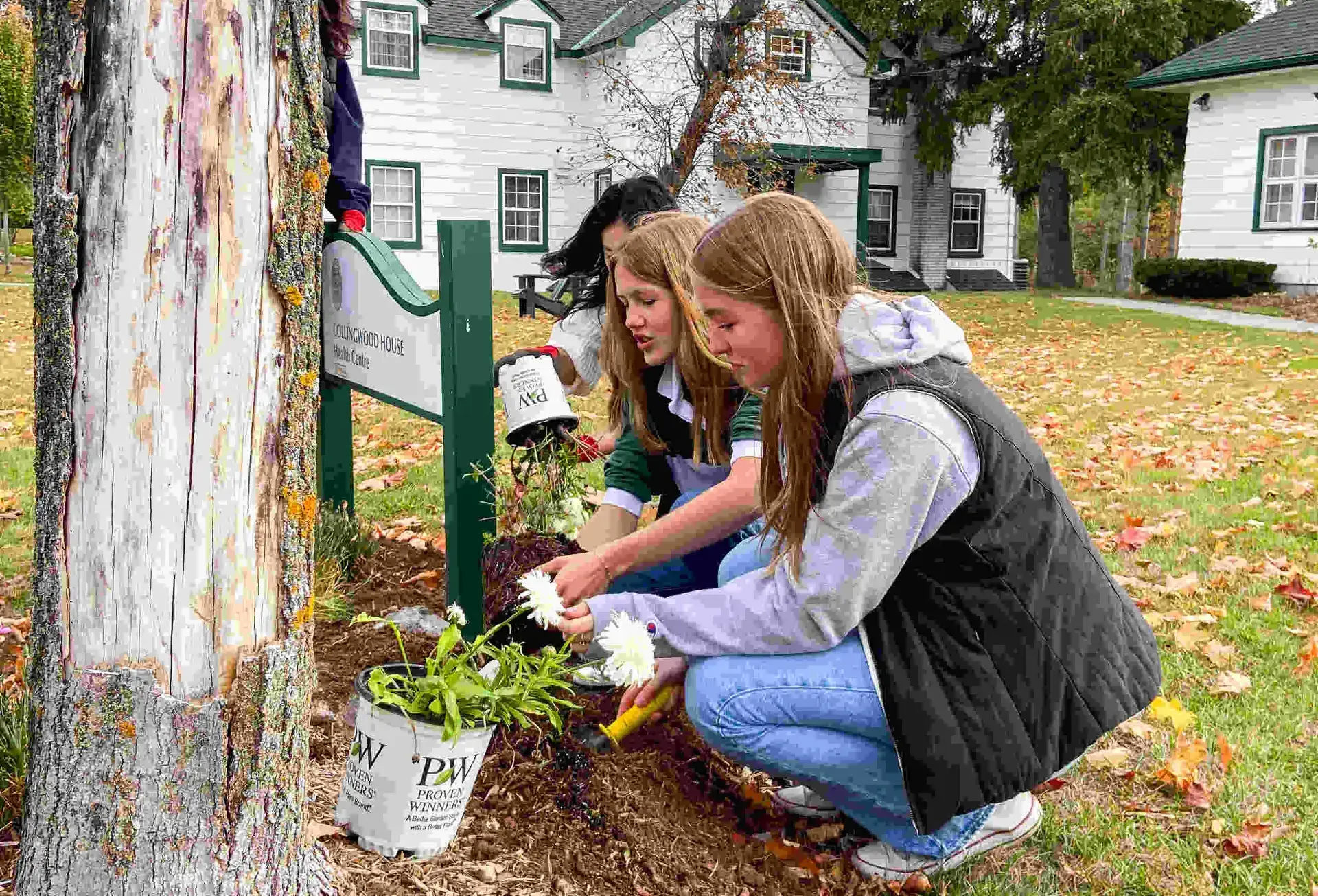 Students planting trees