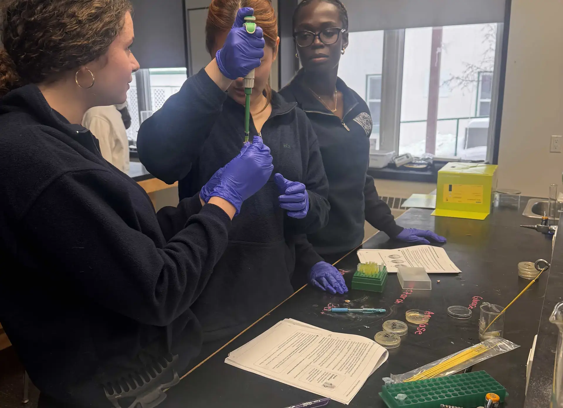 Students pippetting petri dishes