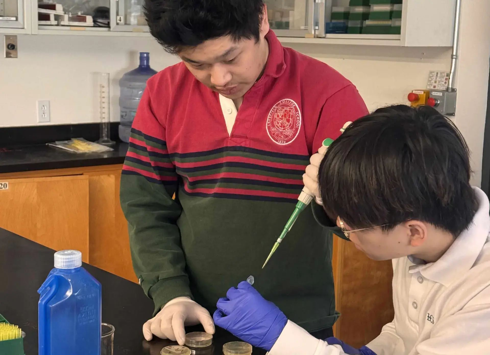 Student holding pipette over petri dish
