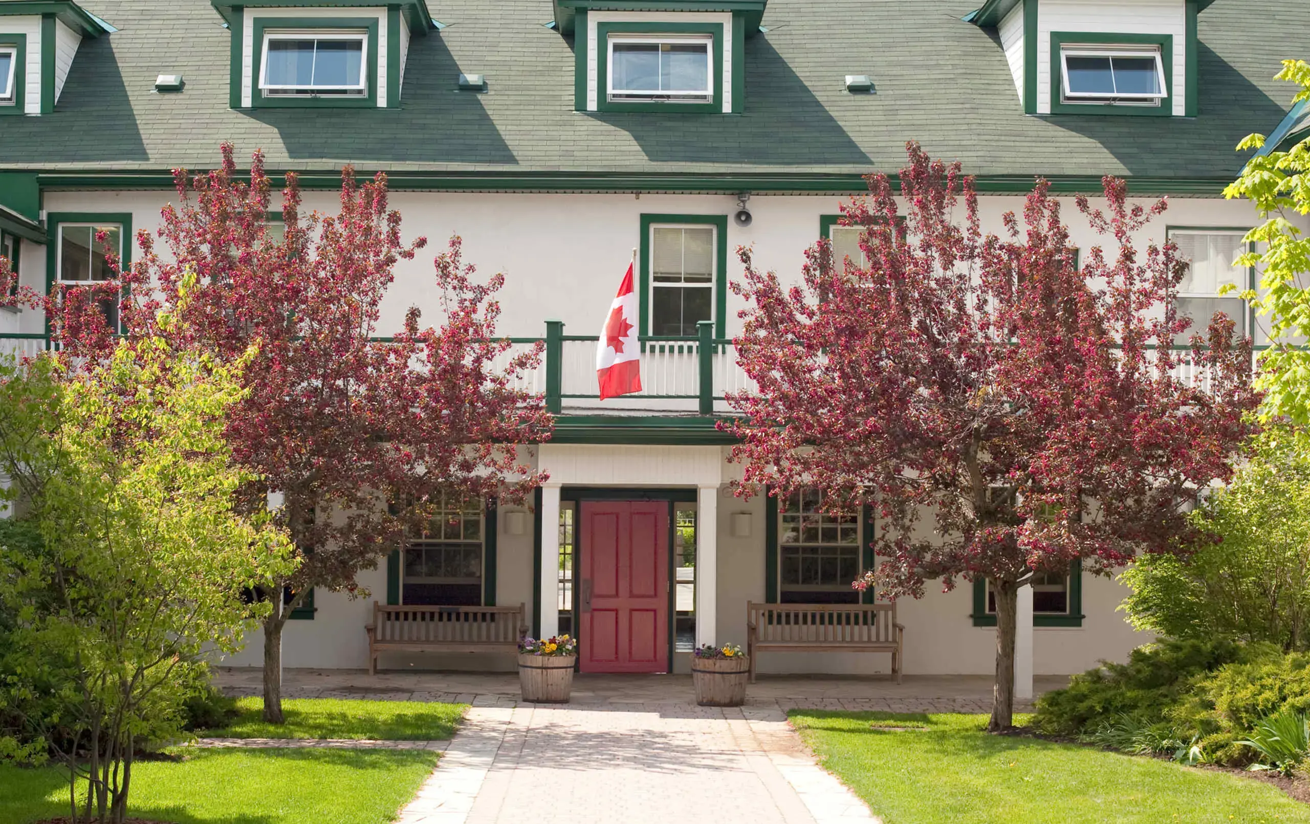 Exterior of Grove House, a white building with a green trim and trees in front of the door