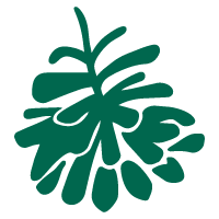 LCS HOM Icon Pinecone