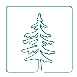 Tree icon