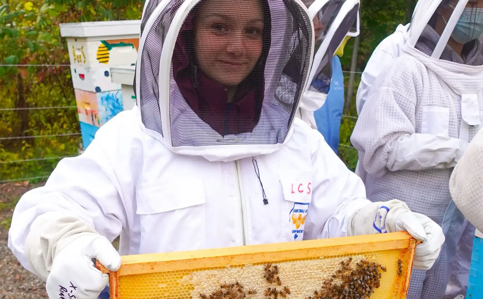 Student in a bee keeping suit holding up a panel of honey comb with bees