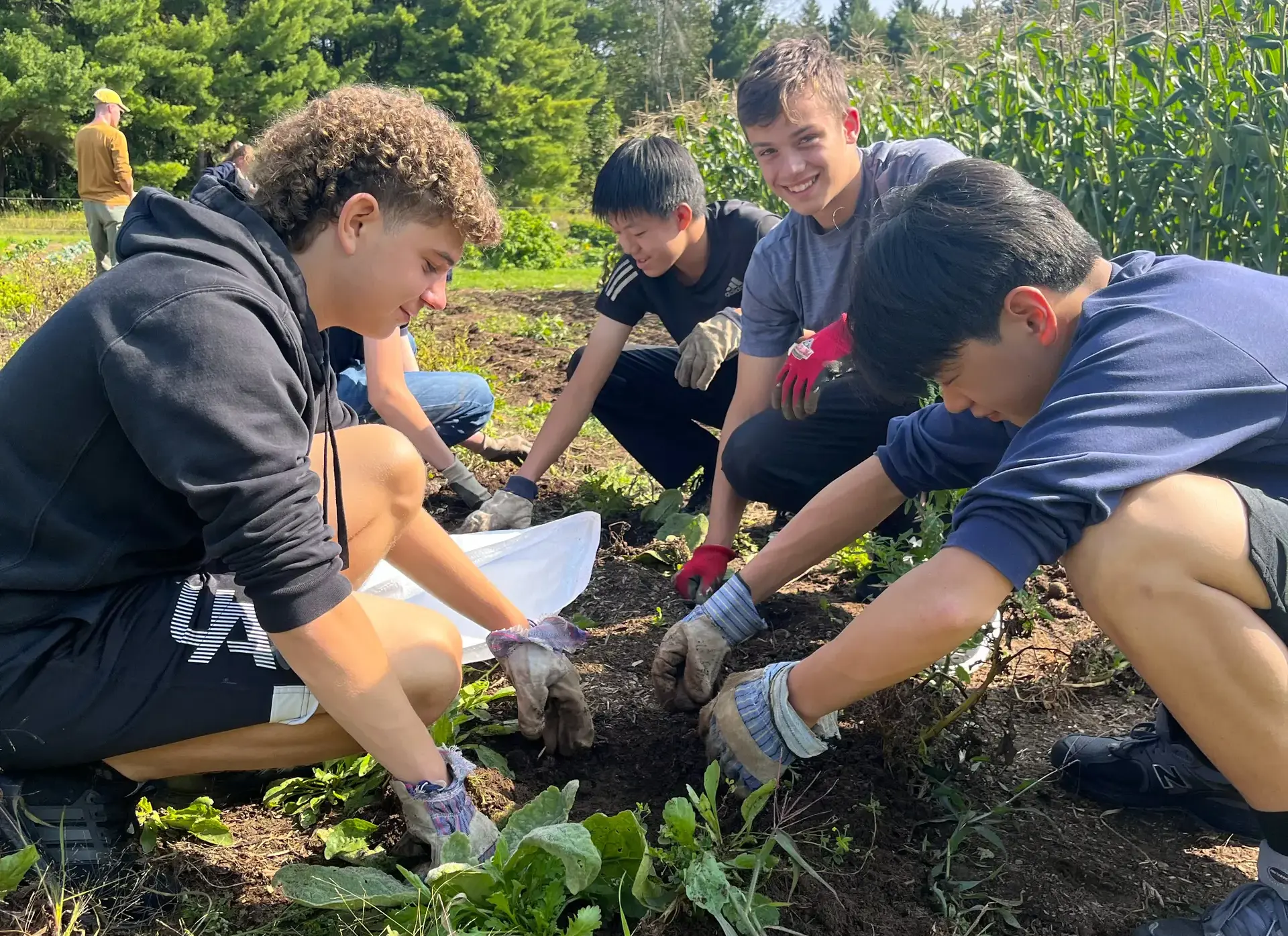 Students planting at Northcote