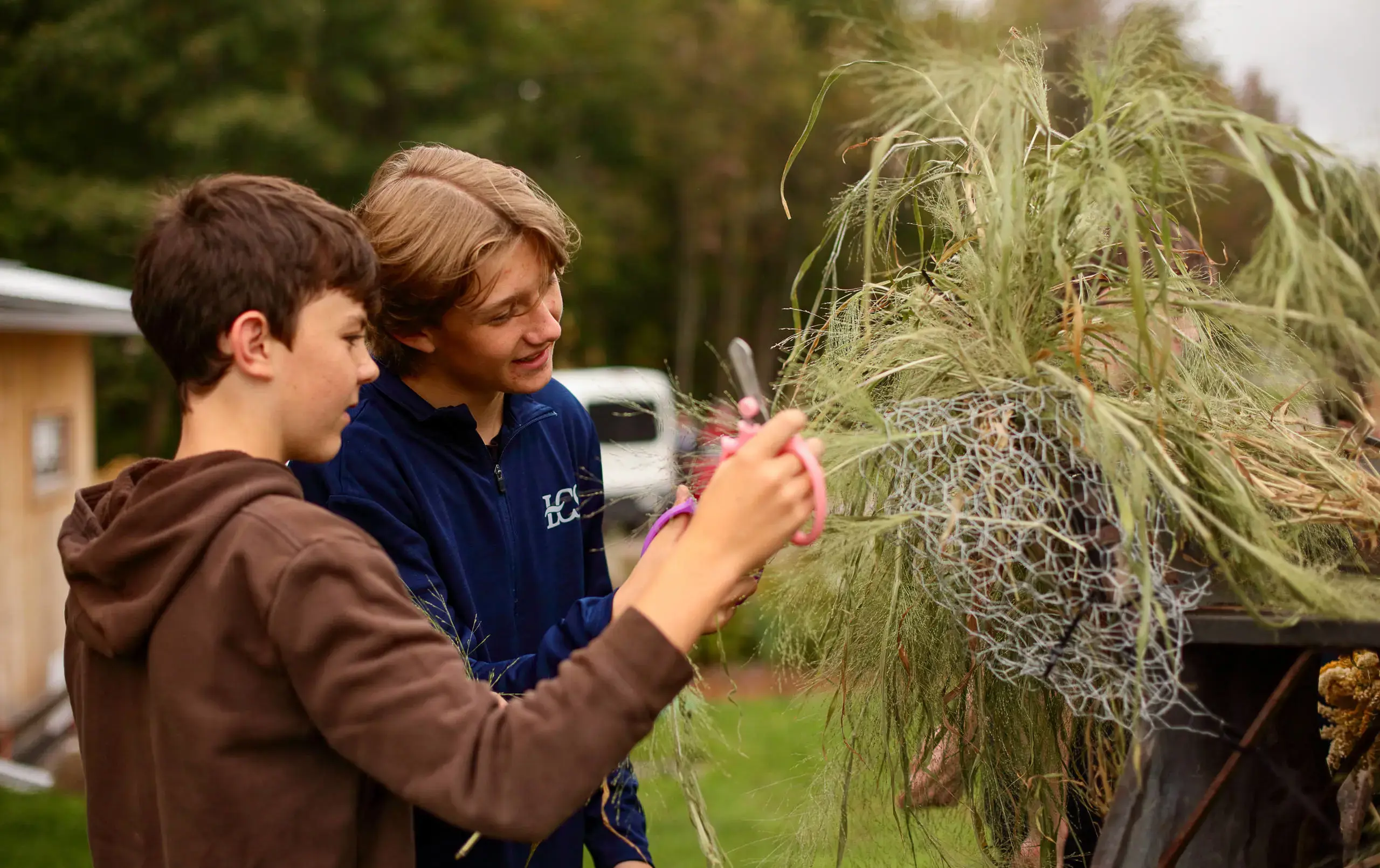 Students tending tree
