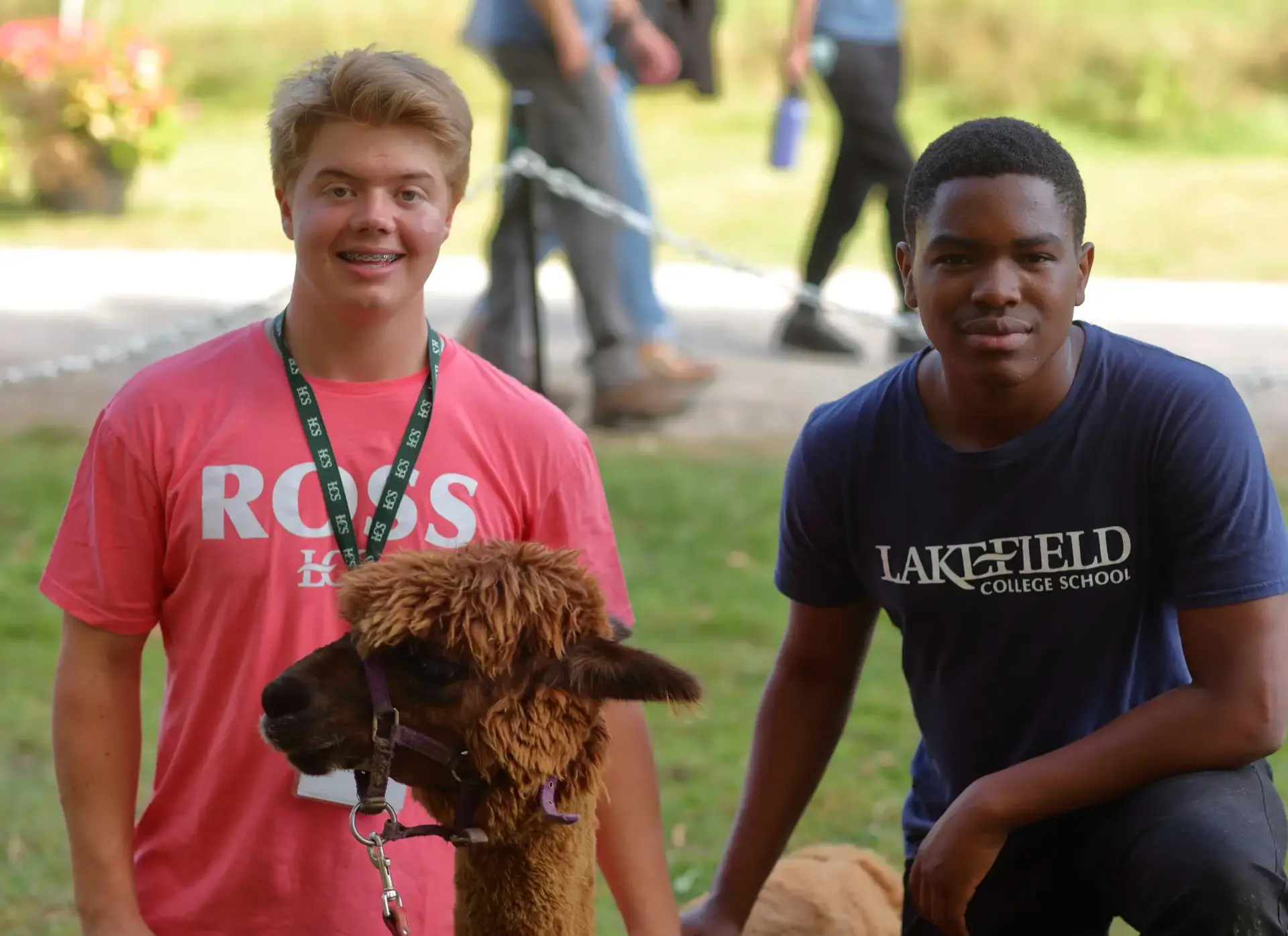 Two students with alpaca