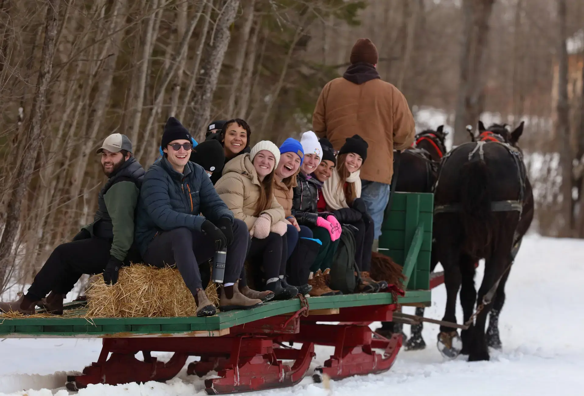 Students being pulled on horse-drawn sleigh