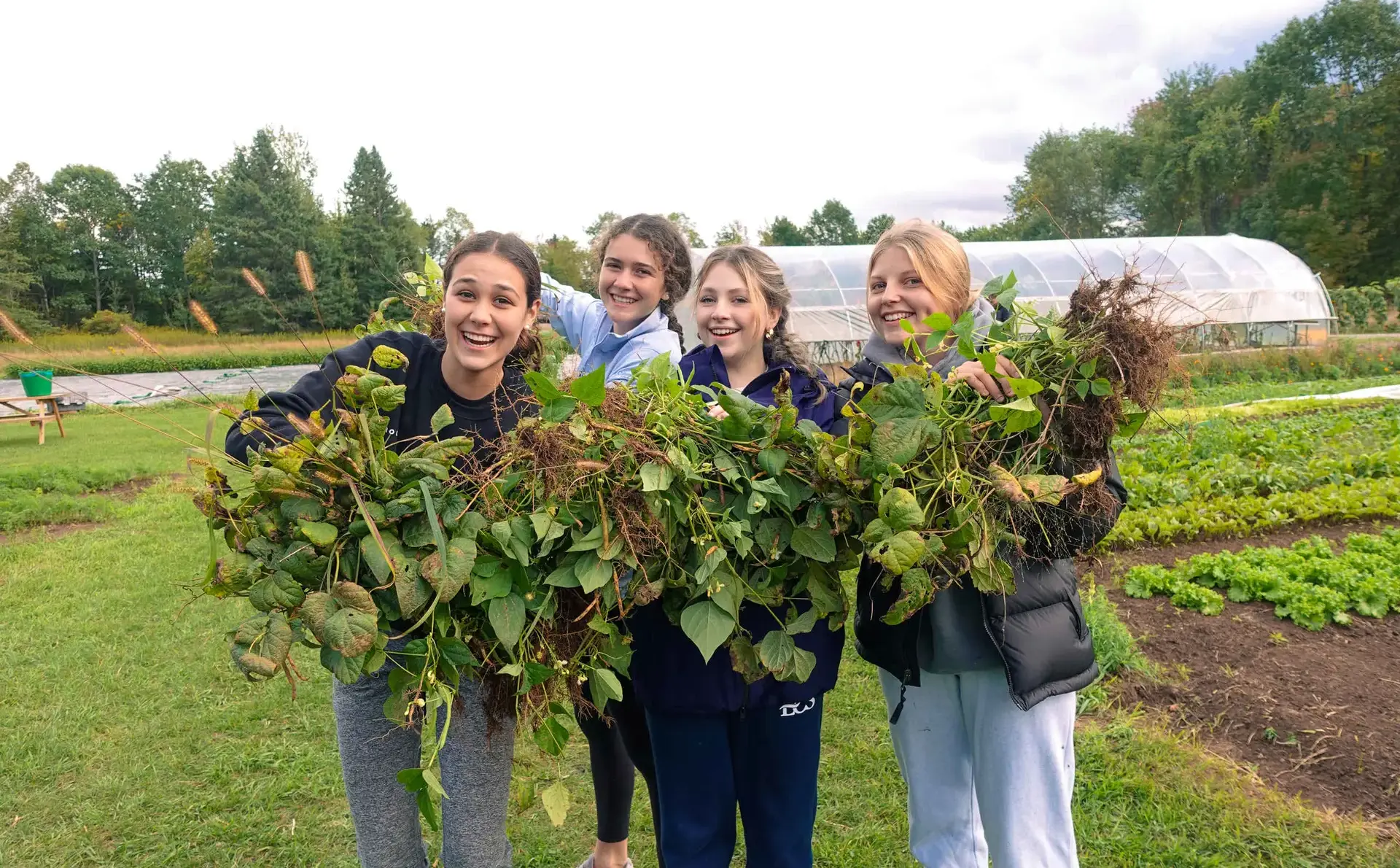 Students holding up harvested plants