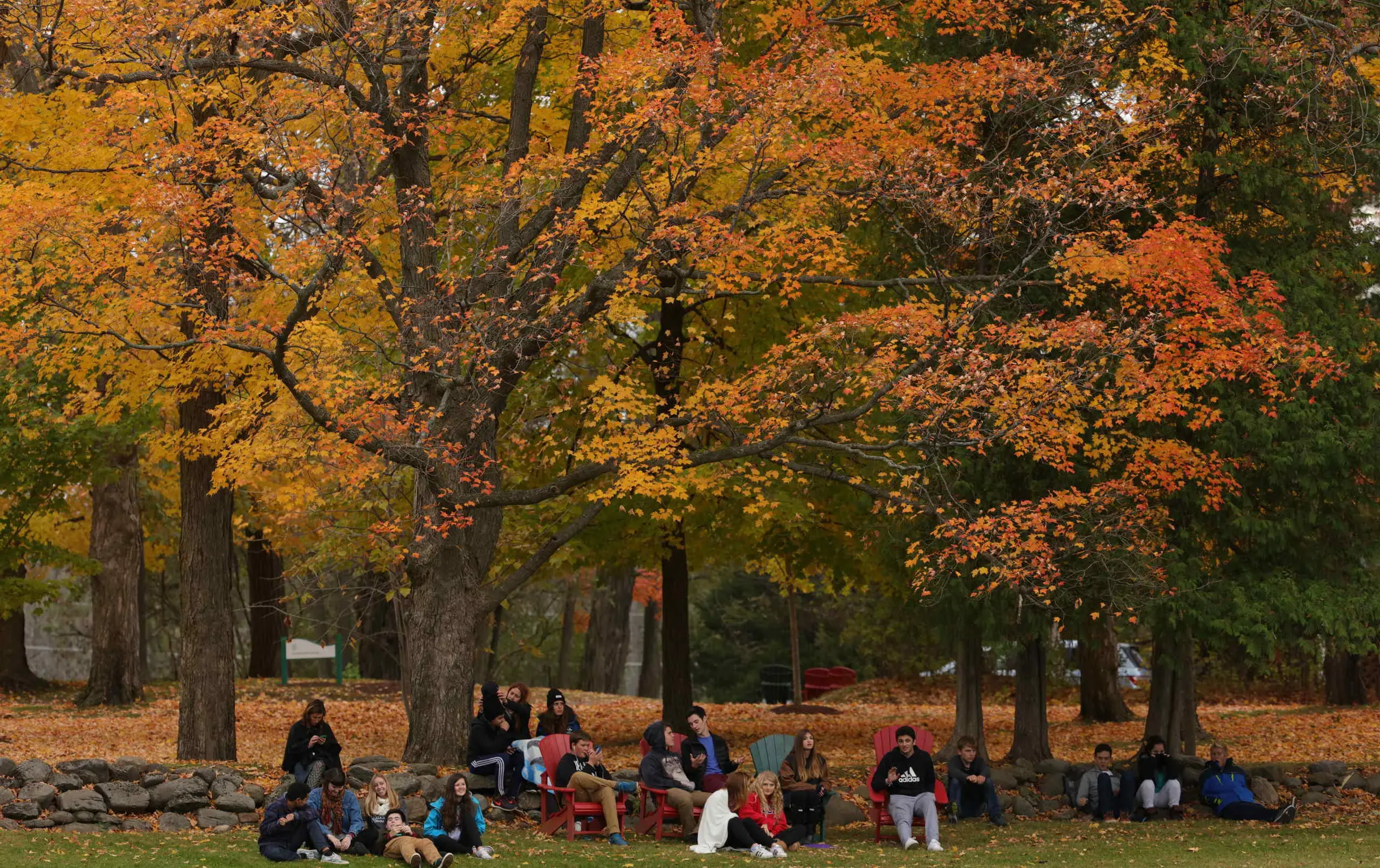 Students sitting at tables under trees on autumnal afternoon