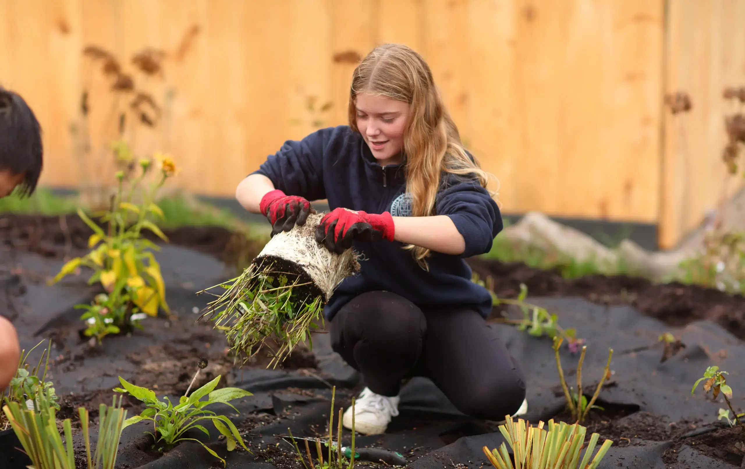 Students tending garden