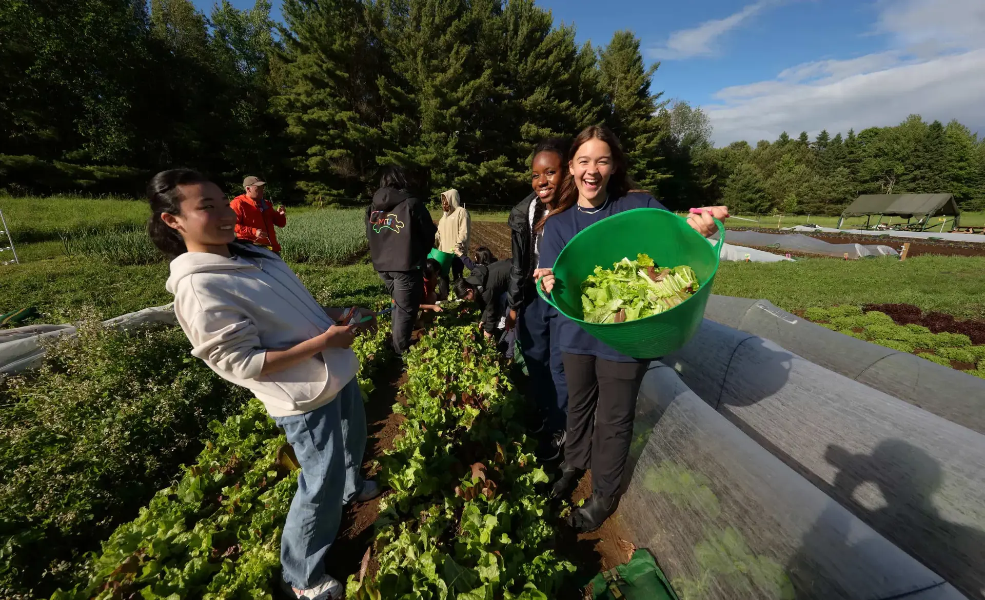 Students harvesting produce
