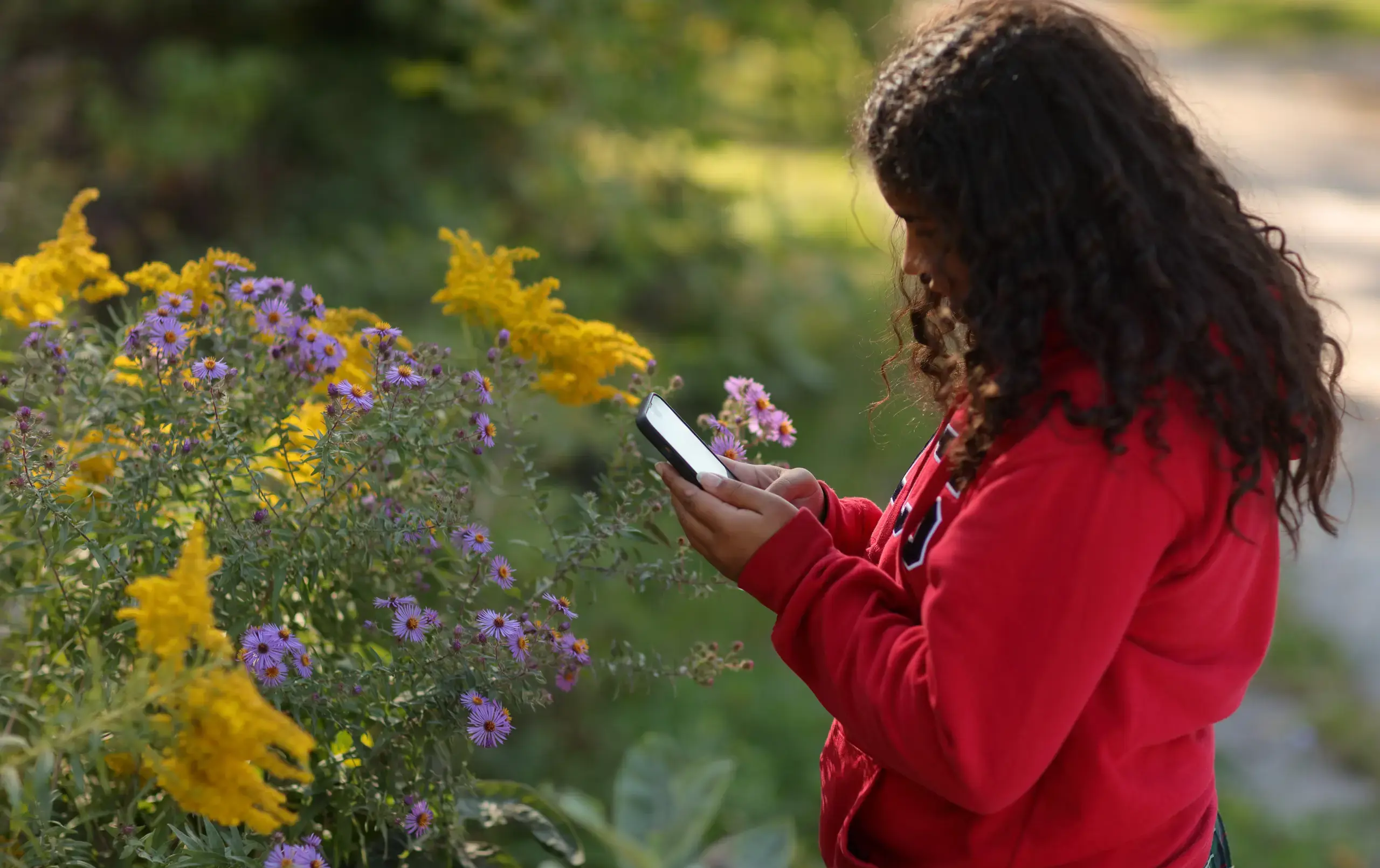 A student using their mobile device to take photography of LCS flower beds.