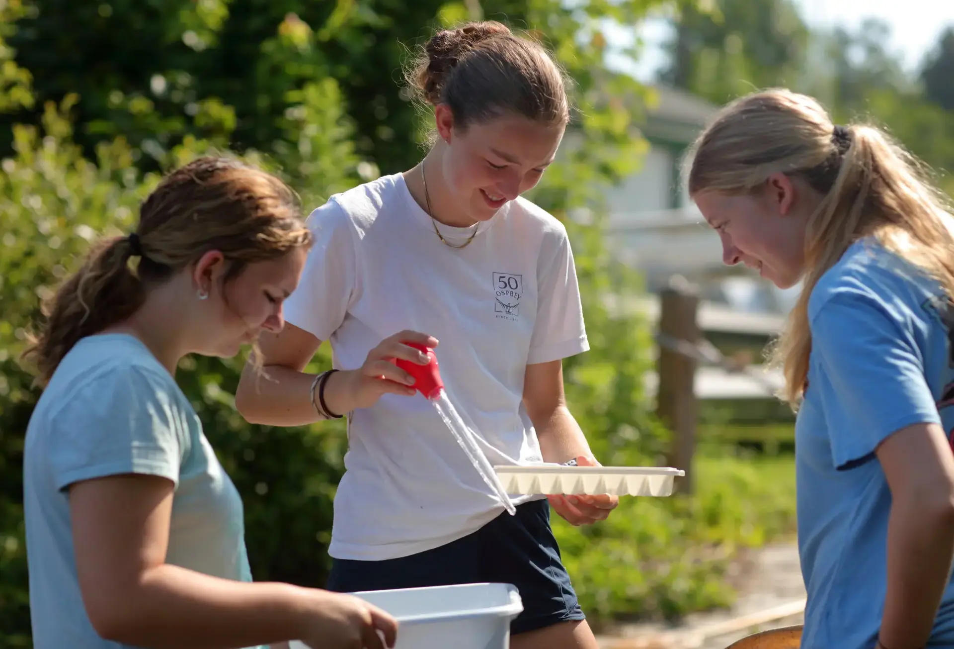 Students holding pipette over ice cube tray