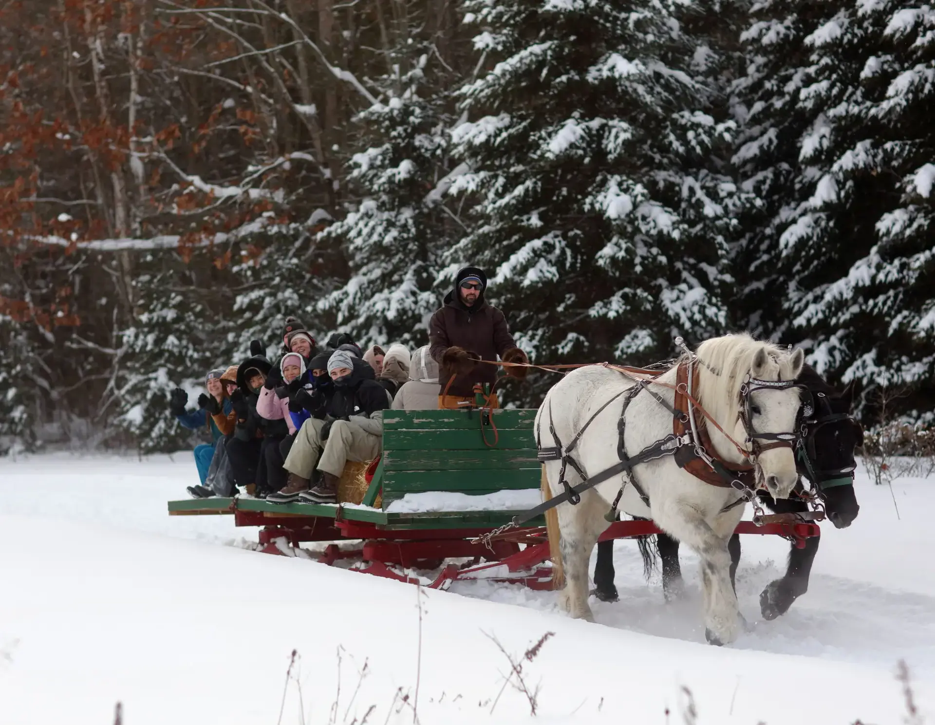 Students being pulled on horse-drawn sleigh