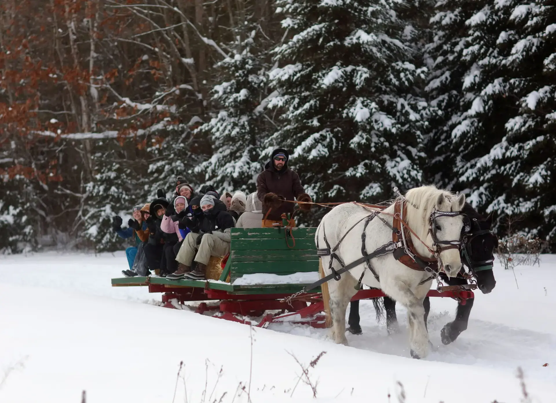 Students being pulled on horse-drawn sleigh
