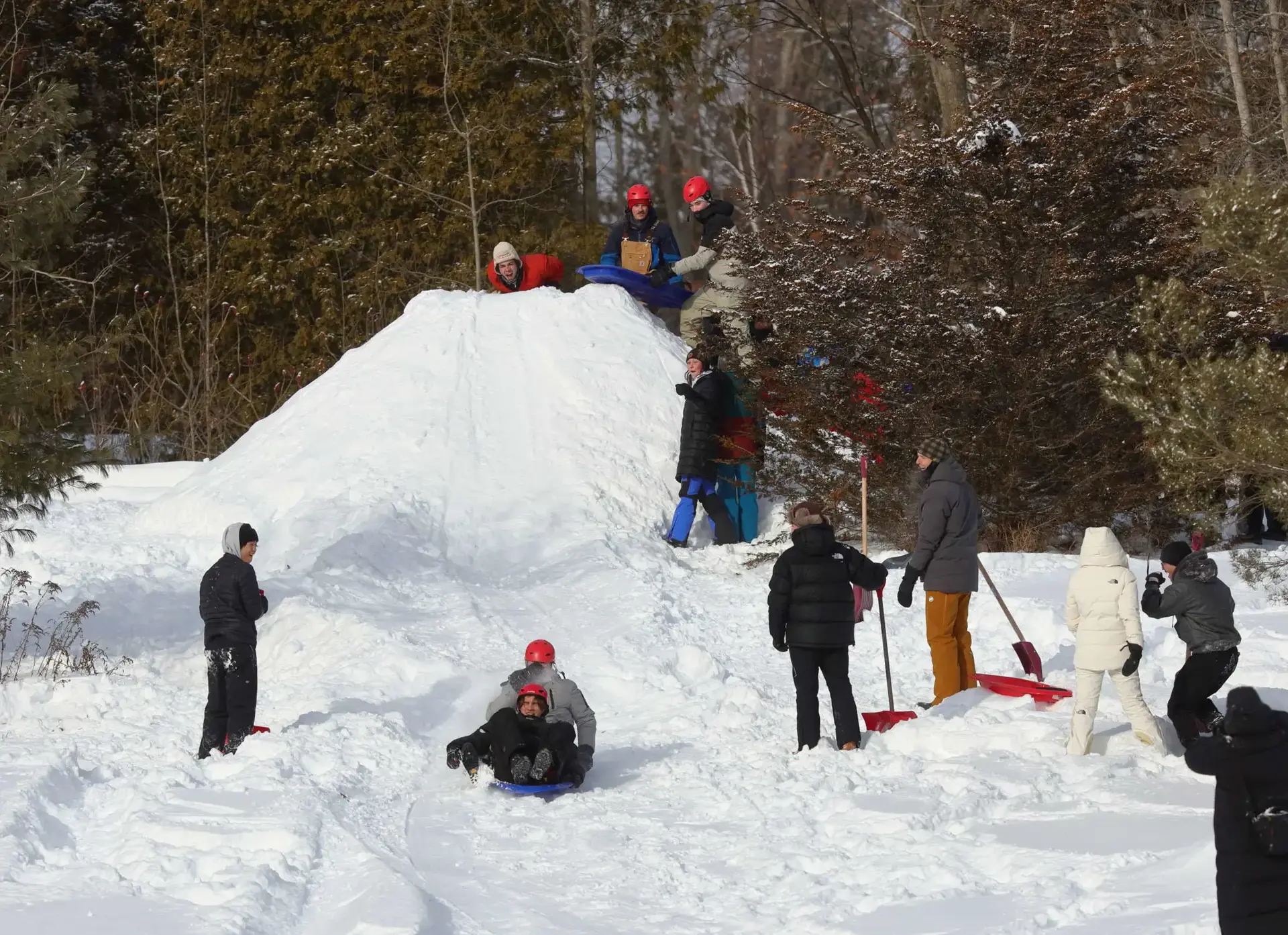 Students playing in snow