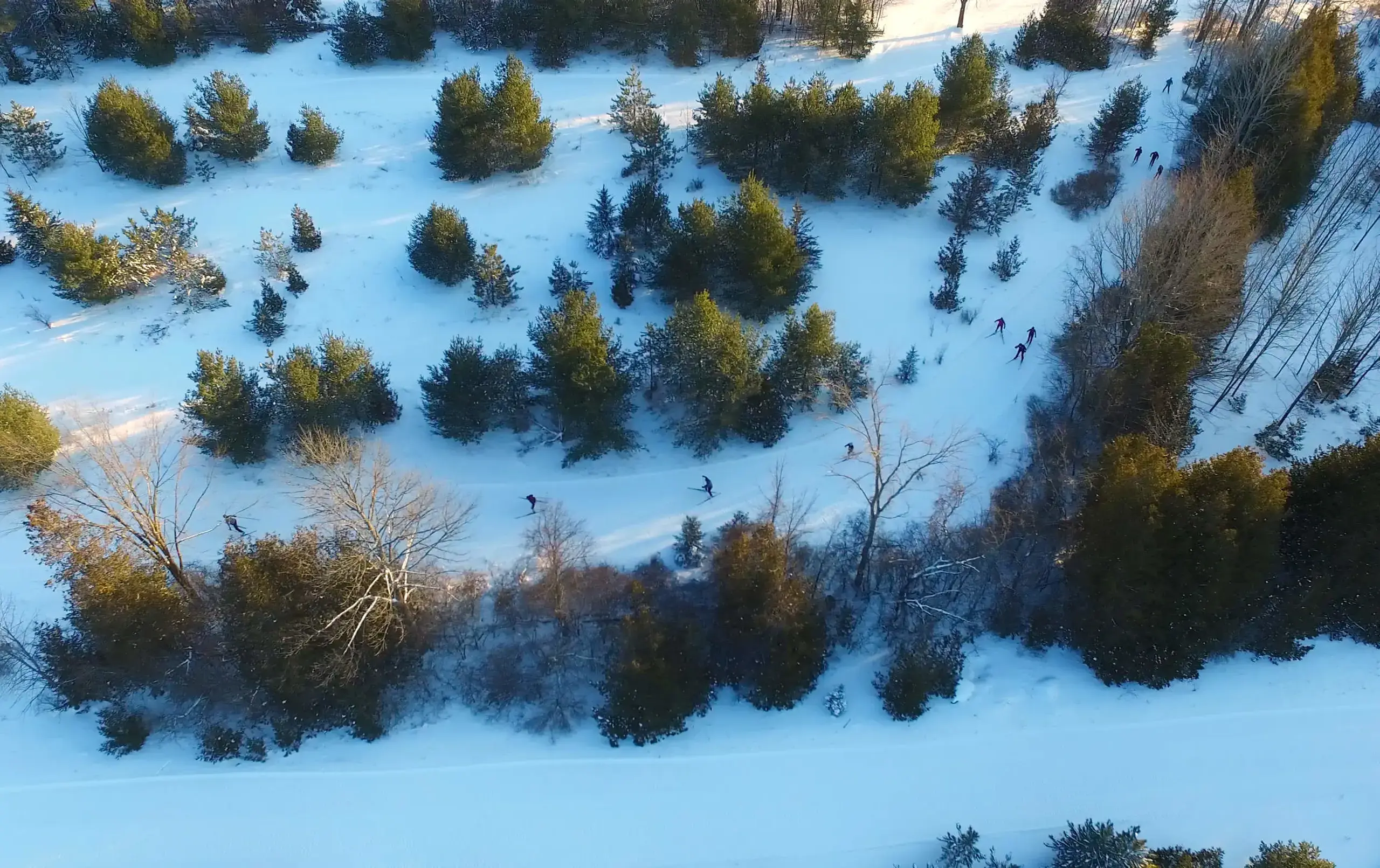 Aerial shot of students skiing