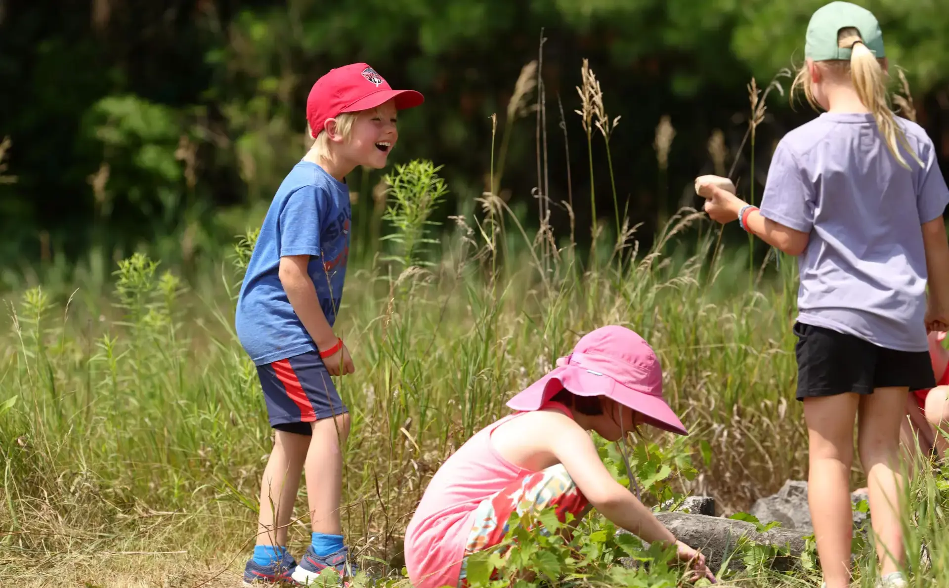Campers examining undergrowth
