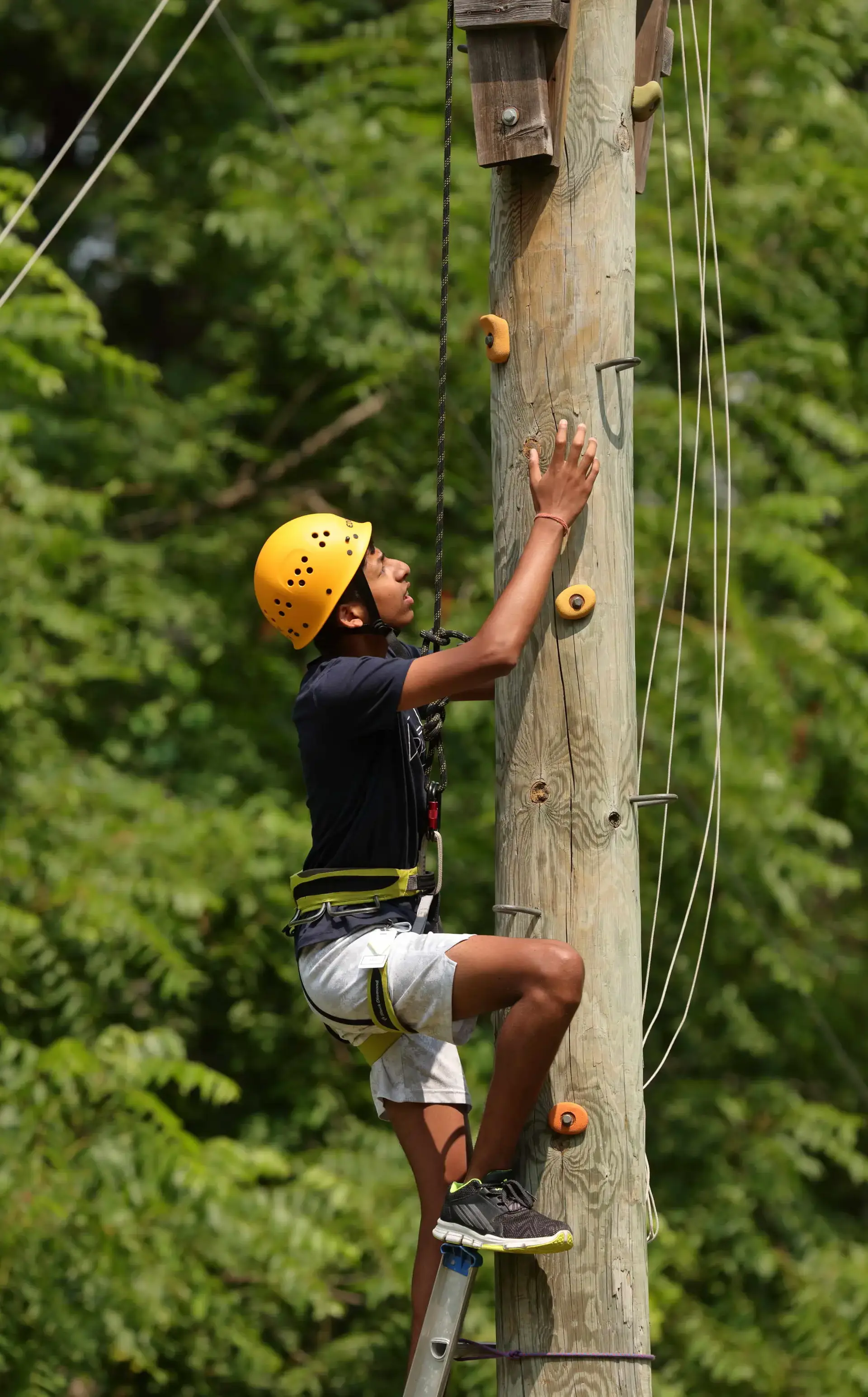 Student climbing tree