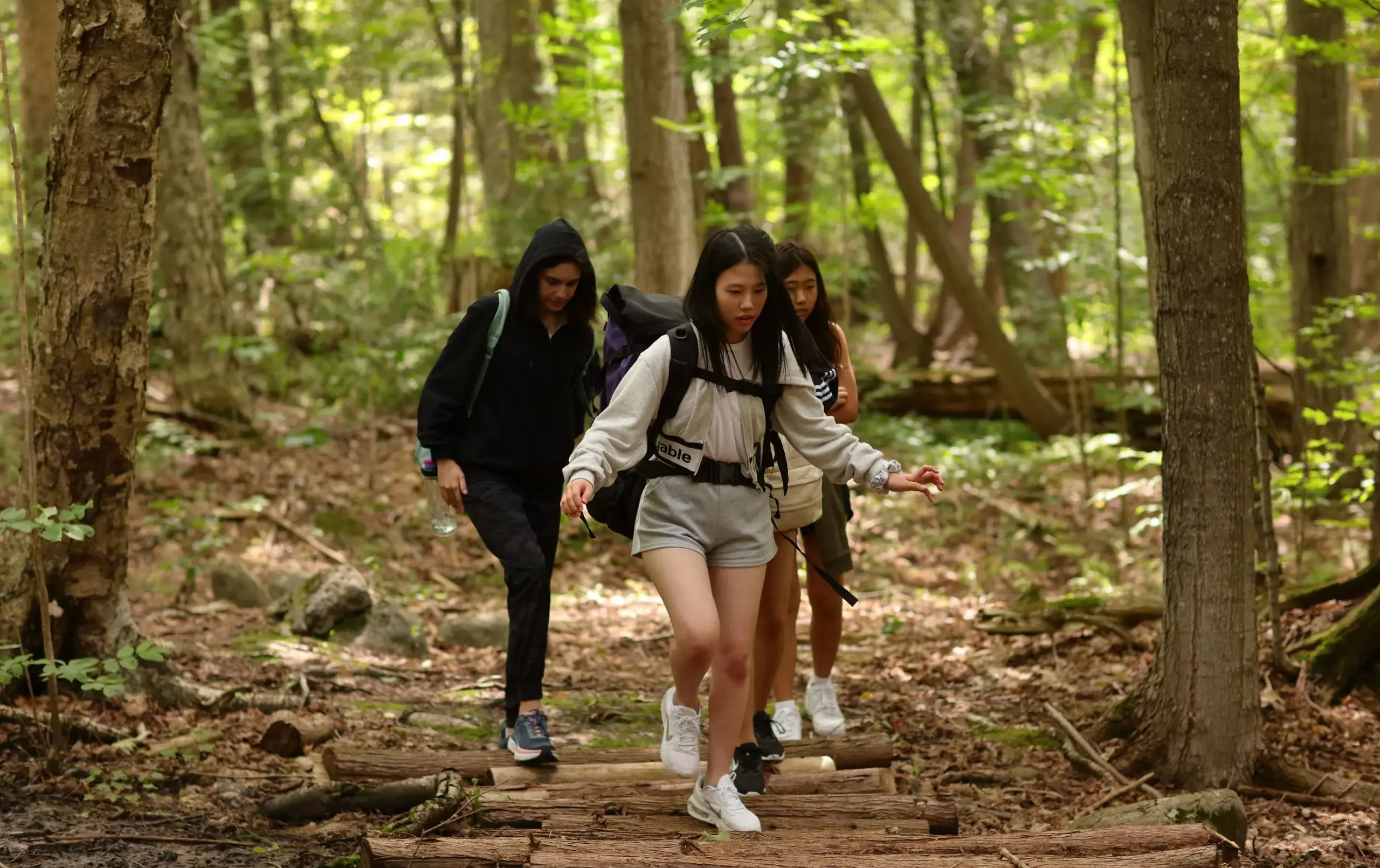 Students walking through woods